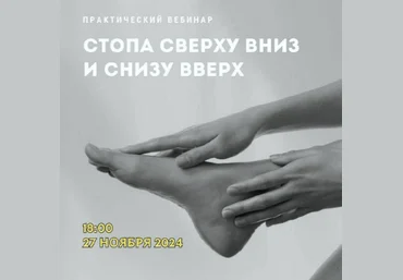 Александр Волоткевич Стопа сверху вниз и снизу вверх 2024 скачать слив