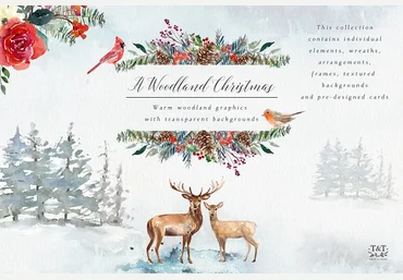 Creativemarket - Графический набор Рождественский лес Twigs and Twine 2018 слив