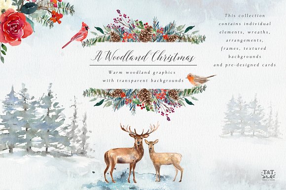 Creativemarket - Графический набор Рождественский лес Twigs and Twine 2018 слив курса