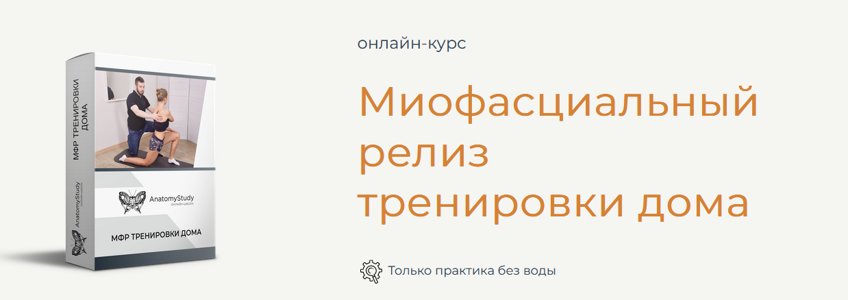 Андрей Богатырев Анатомия Миофасциальный релиз тренировки дома 2022 слив курса