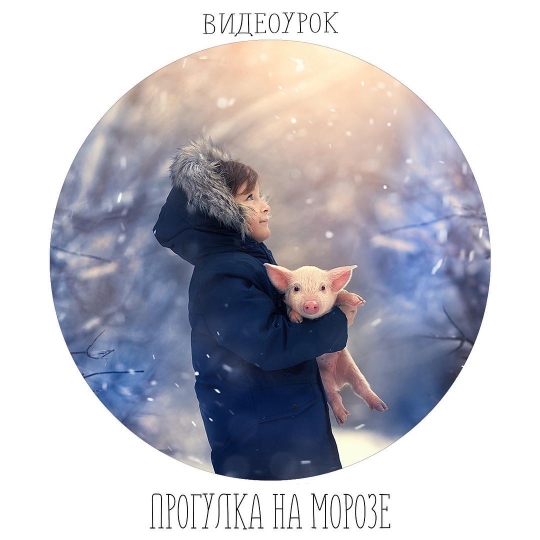 Anti.photograph Прогулка на морозе 2018 слив курса