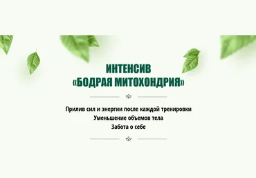 Юлия Кудрина Интенсив ‌«Бодрая митохондрия» 2023 слив