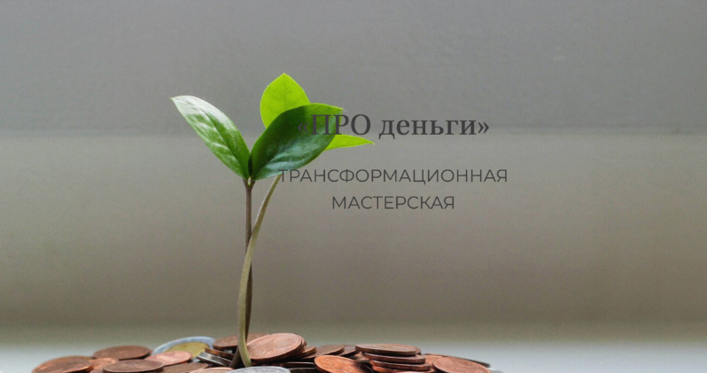 Елена Журек Про деньги. Трансформационная мастерская 2024 слив курса