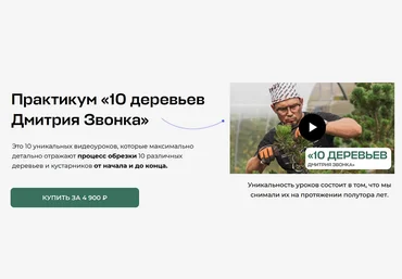 Дмитрий Звонка Умный садовник 10 деревьев Дмитрия Звонка 2025 слив