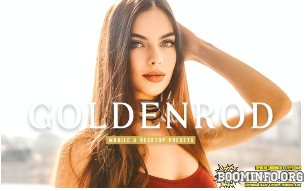 Elements.Envato Goldenrod Mobile & Desktop Lightroom Presets 2021 слив курса