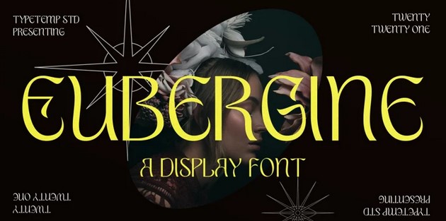 Myfonts Eubergine Font 2021 слив курса
