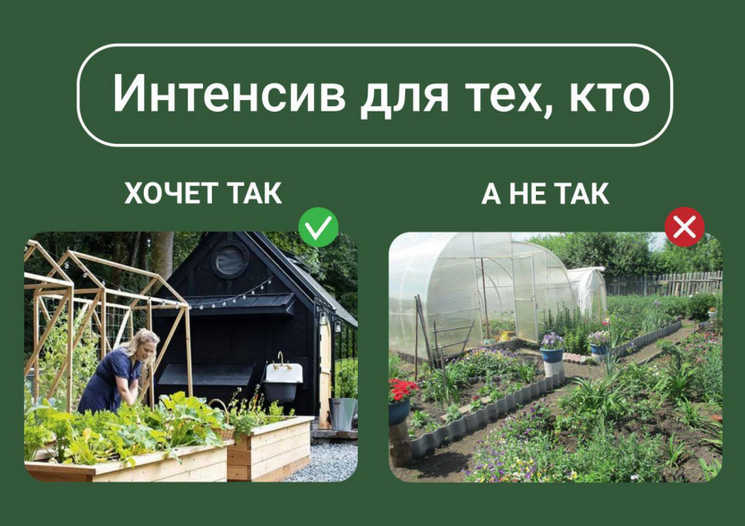 Марина Берестова Дизайн современного огорода 2024 слив курса