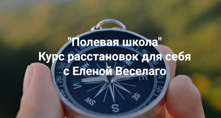Елена Веселаго Институт Открытого поля Полевая школа. Курс расстановок для себя 2025 слив курса