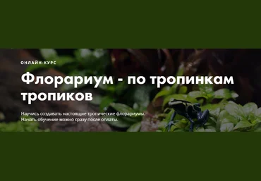 Онлайн-школа «Мир за стеклом» Флорариум - по тропинкам тропиков 2019 слив