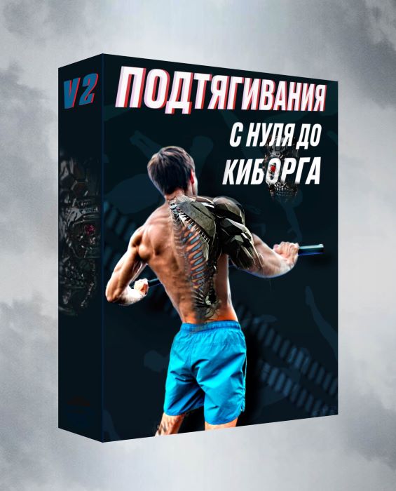 Артем Морозов Подтягивания с нуля до киборга v.2.0 2024 слив курса