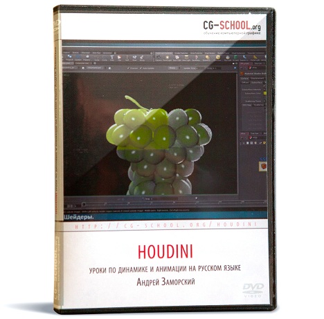 cg-school.org Houdini - уроки по динамике и анимацим слив курса