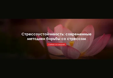 Стрессоустойчивость: современные методики борьбы со стрессом слив