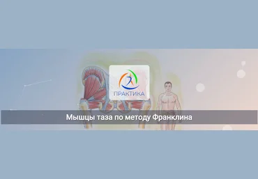 Центр Практика Людмила Бабанская - Мышцы таза по методу Франклина 2023 слив