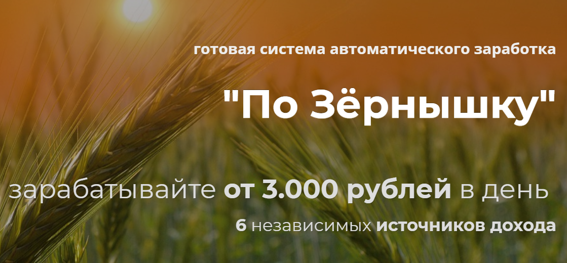 Александр Писаревский По зёрнышку 2020 слив курса
