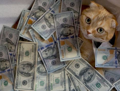 AlexFri Обучение заработку от 40-80+$ в сутки без доп. вложений быстро и просто 2020 слив курса