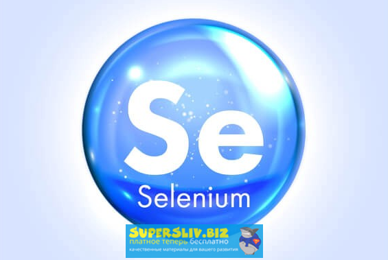 Алексей Баранцев Selenium IDE 3: стартовый уровень 2019 слив курса
