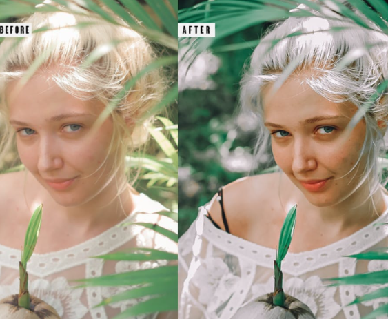 Elements.Envato Avocado Photoshop Action & Lightrom Presets 2021 слив курса
