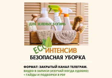 Екатерина Кудерцева Безопасная уборка 2024 слив