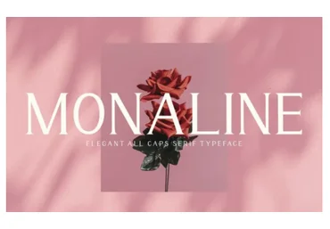 Fontbundles Monaline Font 2021 скачать слив