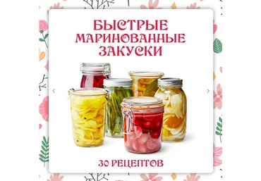 Ольга Данчук, Елена Воронцова Ленивый кулинар Маринованные закуски 2.0 2024 слив