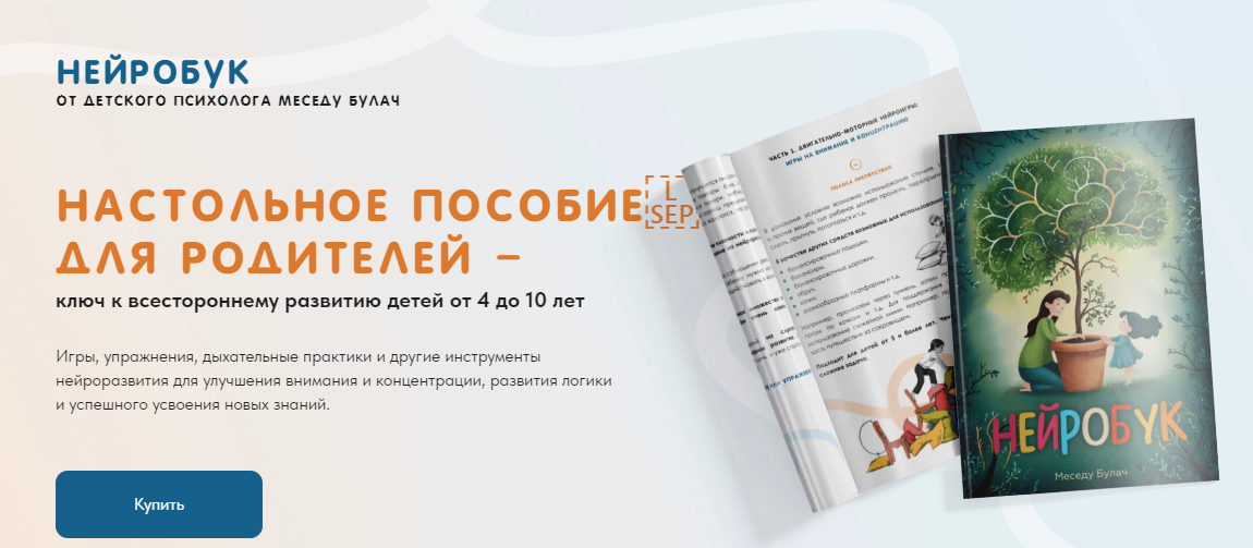 Меседу Булач Нейробук 2024 слив курса