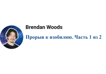 Брендан Вудс Прорыв к изобилию. Часть 1 из 2 2025 слив