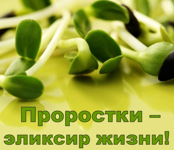 Проростки - эликсир жизни! - Дудник 2017 слив курса
