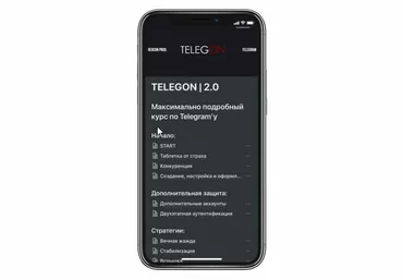 rercon.net Курс по Телеграму Telegon maximus 2.0 2021 слив