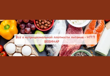 Валерий Подрубаев humberto 2.0 Всё о нутрициональной плотности питания - НПП 2023 слив