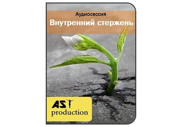 AST Production Внутренний стержень слив