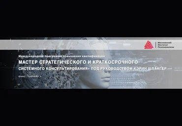Кэрин Шлангер Мастер стратегического и краткосрочного системного консультирования слив