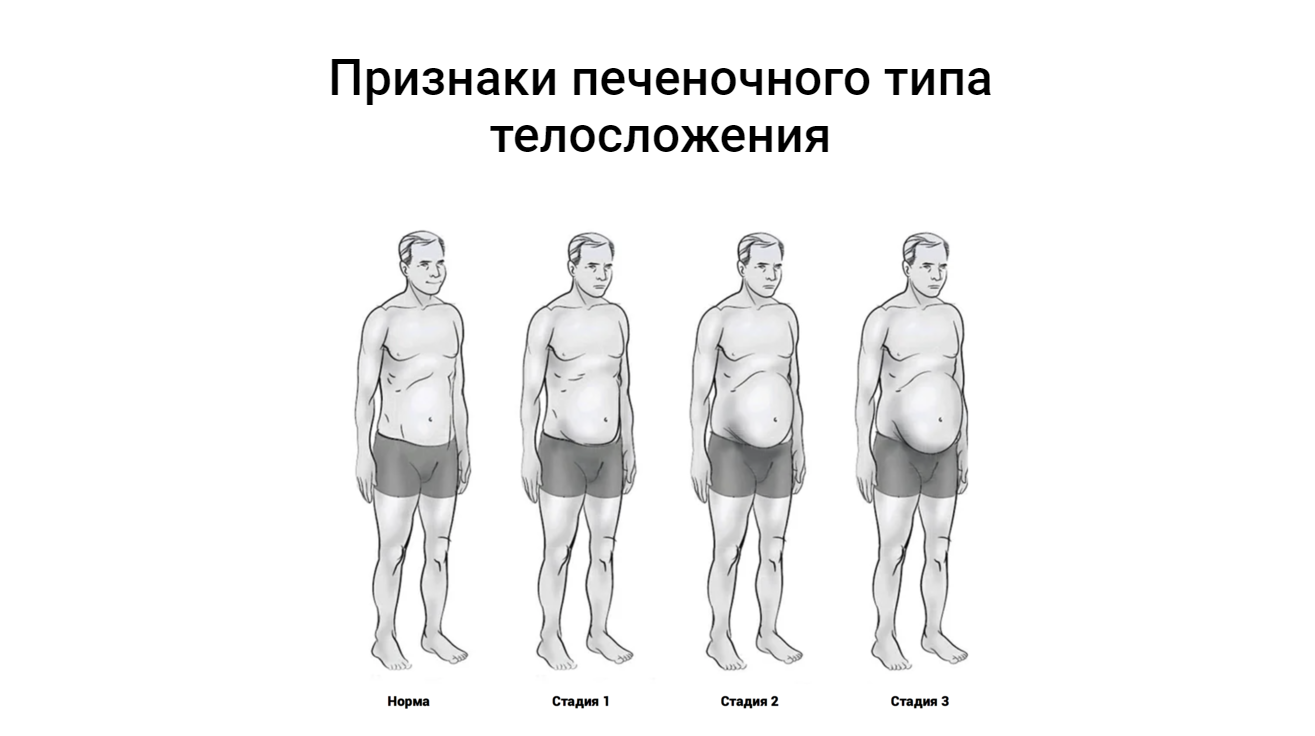 Доктор Эрик Берг Печеночный тип телосложения 2021 слив курса