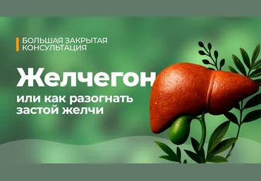 Юлия Мартьянова Желчегон 2025 скачать слив