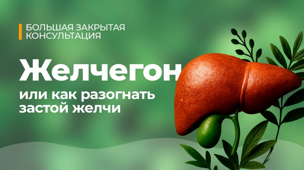 Юлия Мартьянова Желчегон 2025 слив курса