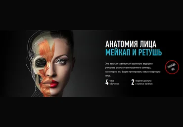 Анатомия лица. Мейкап и ретушь profileschool слив