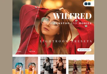 Elements.Envato Wilfred Desktop and Mobile Lightroom Preset 2021 слив