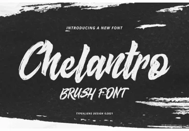 Creativefabrica Chelantro Font 2021 слив