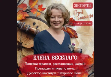 Елена Веселаго Большое решение 2024 слив