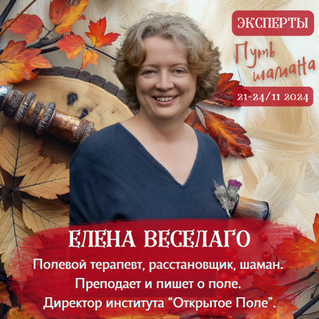 Елена Веселаго Большое решение 2024 слив курса