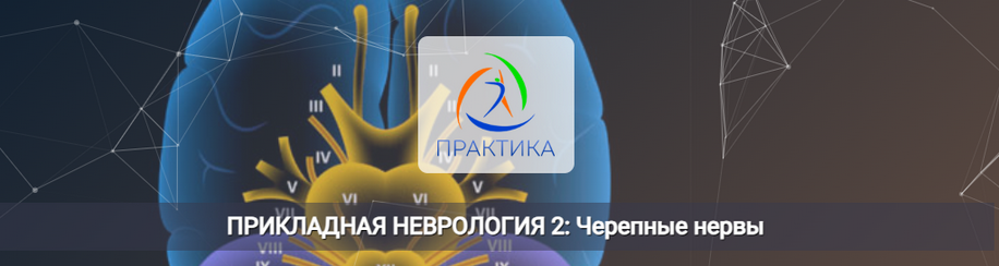 Мария Недре Центр Практика Прикладная неврология 2: Черепные нервы 2025 слив курса