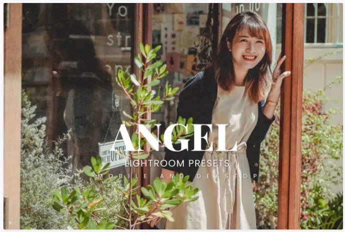 Elements.Envato Angel Lightroom Presets Dekstop and Mobile 2021 слив курса
