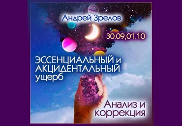 Андрей Зрелов Эссенциальный и Акцидентальный ущерб. Анализ и коррекция 2024 слив