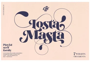 Creativemarket Losta Masta - Playful Serif Family 2021 слив