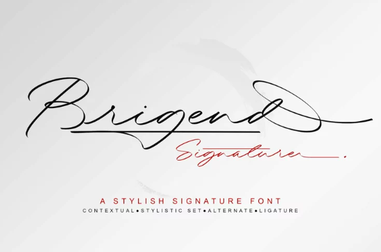 Fontbundles Brigend Signature 2022 слив курса