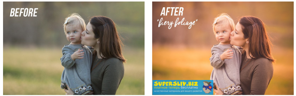 Коллекция пресетов Forever Fall Lightroom 2019 слив курса
