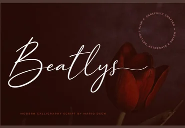 Creativefabrica Beatlys Font слив