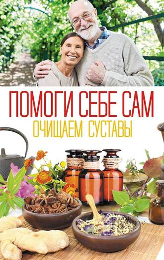 Ольга Шелест Помоги себе сам. Очищаем суставы 2019 слив курса
