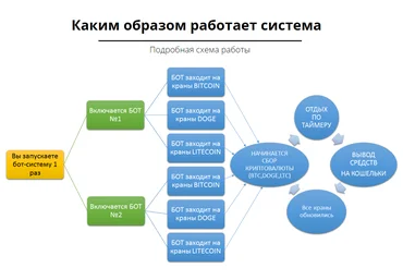 Биткоин Маэстро - Павел Дуглас слив