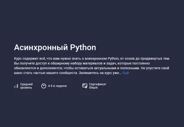 Павел Хошев Stepik Асинхронный Python 2023 слив