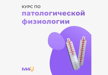 Medforyou - школа медицины Курс по общей патологической физиологии 2024 слив